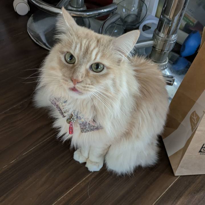 7448e7a6 09e0 432c 8edf ea26f6866ce7 1771810214265