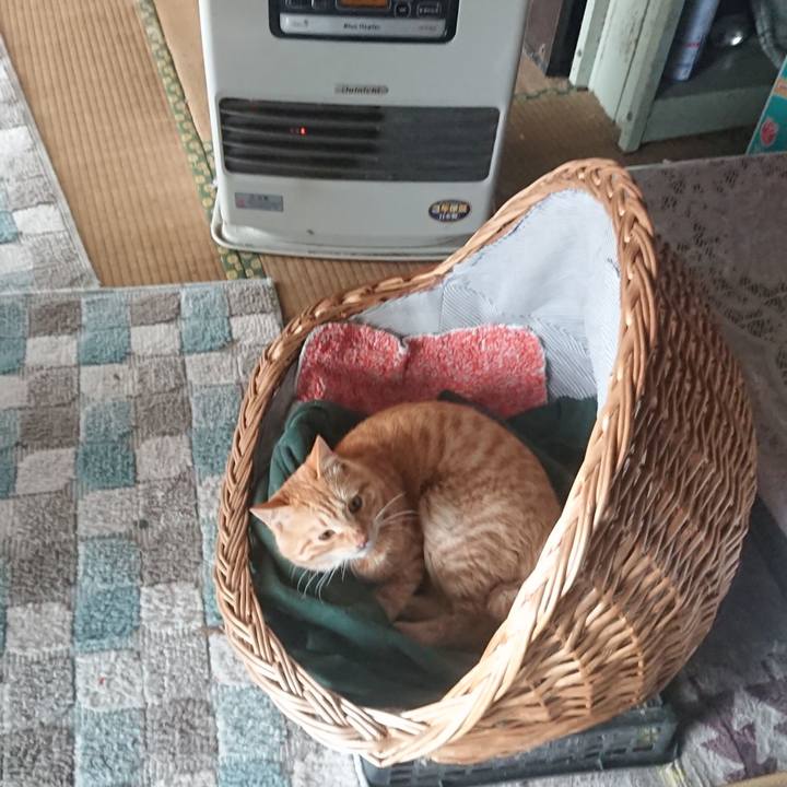 7448f1fd b6fb 4763 9a74 ef064e90e7d4 1642302726938