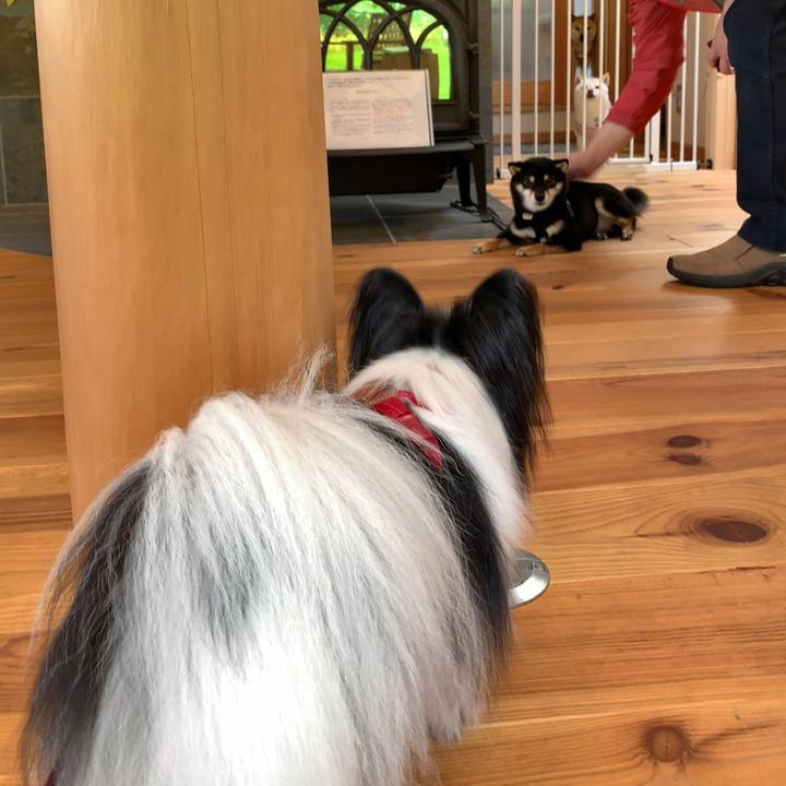 744935ce 752d 420b b1fa 0fb770945f82 1564304539654