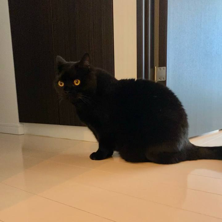 74493679 412f 401c 98bd e33bfdda8873 1636241085012