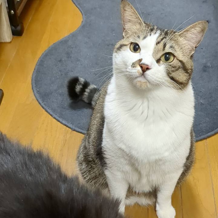 74497af2 e246 4a82 9df3 b1e99082afb9 1672052945873