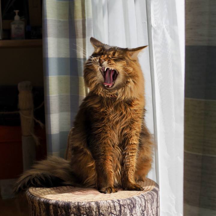 7449b387 643a 46a0 9743 97f20706e55a 1681097921703