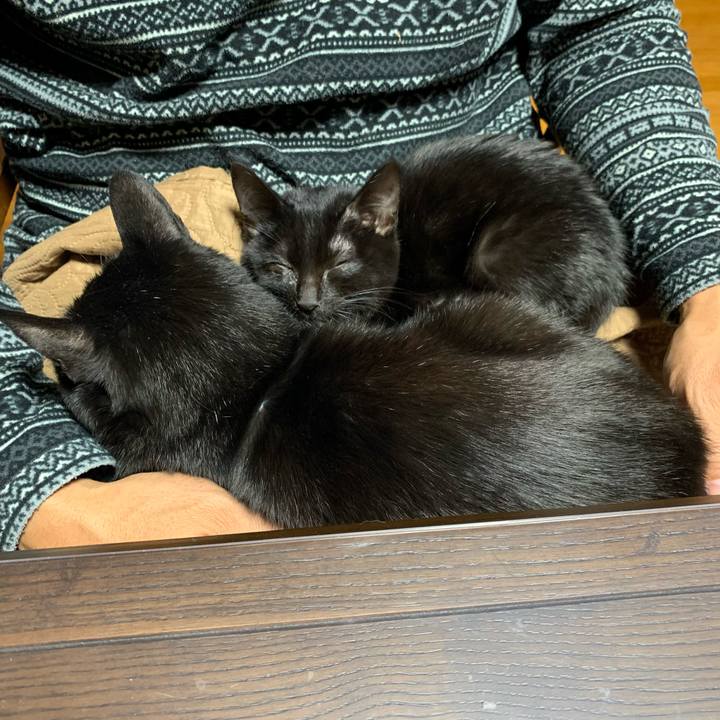 7449b5b9 2d45 43c3 98b9 2fe2be399b50 1642935836678