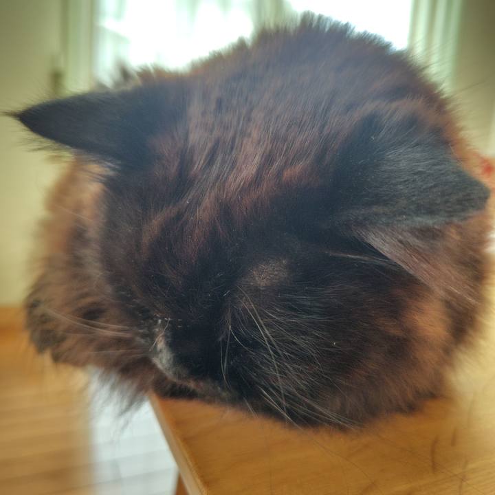 7449b8a8 4887 44b9 8fe6 a528a83d5acc 1714086518670