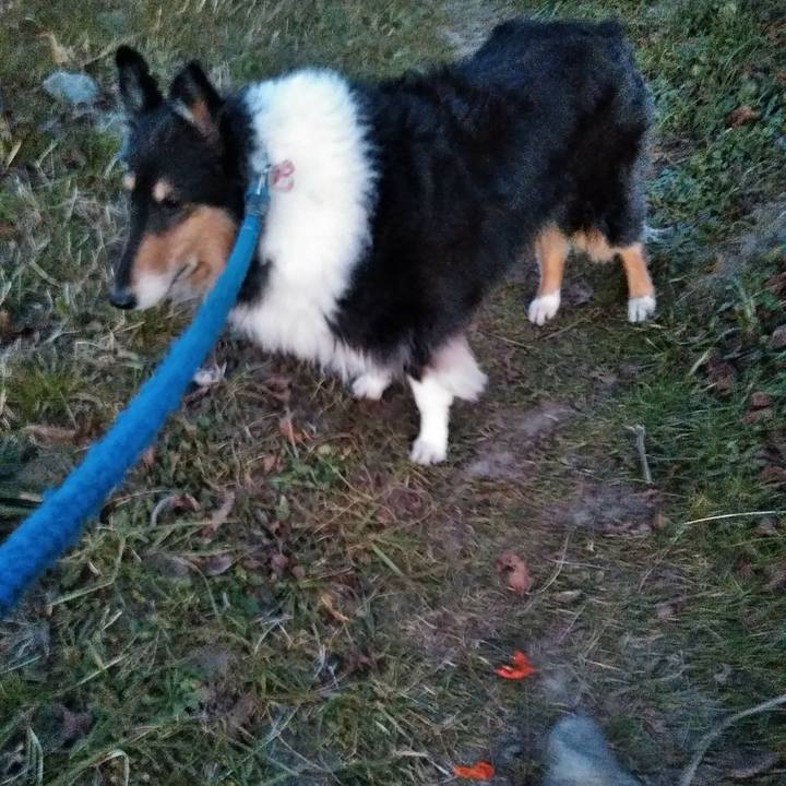 7449bf4b deb0 456b a02d a1aa74f8abc7 1513255524549