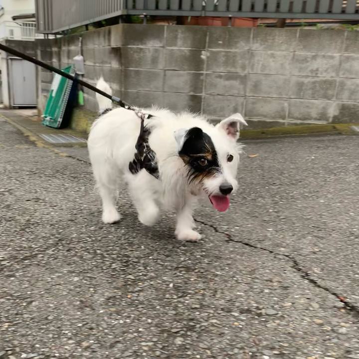 7449ebf3 bce1 48fc 90b9 d324db4f6014 1663456885369