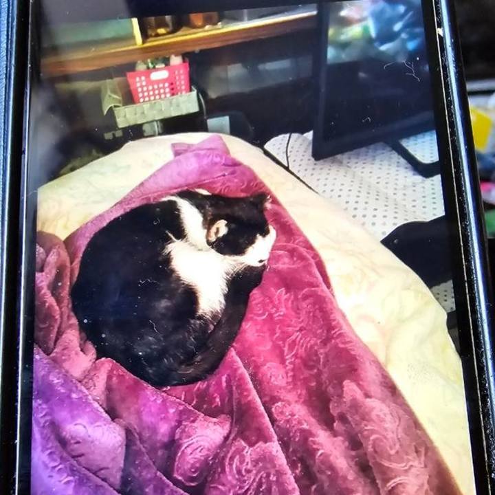 7449f768 e2ad 48bf 9c55 1fec94a14678 1717556230369