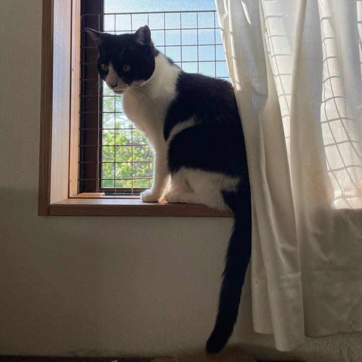 744a1ef8 77e2 483c b1e9 763803780d10 1714726296695