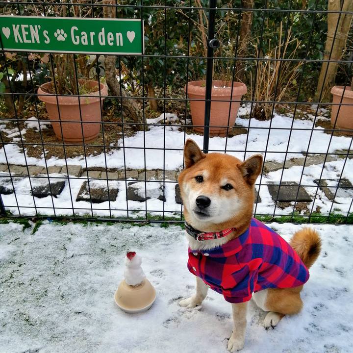 744a2ad6 c62f 460f 93d9 9d566c403a36 1641604146489