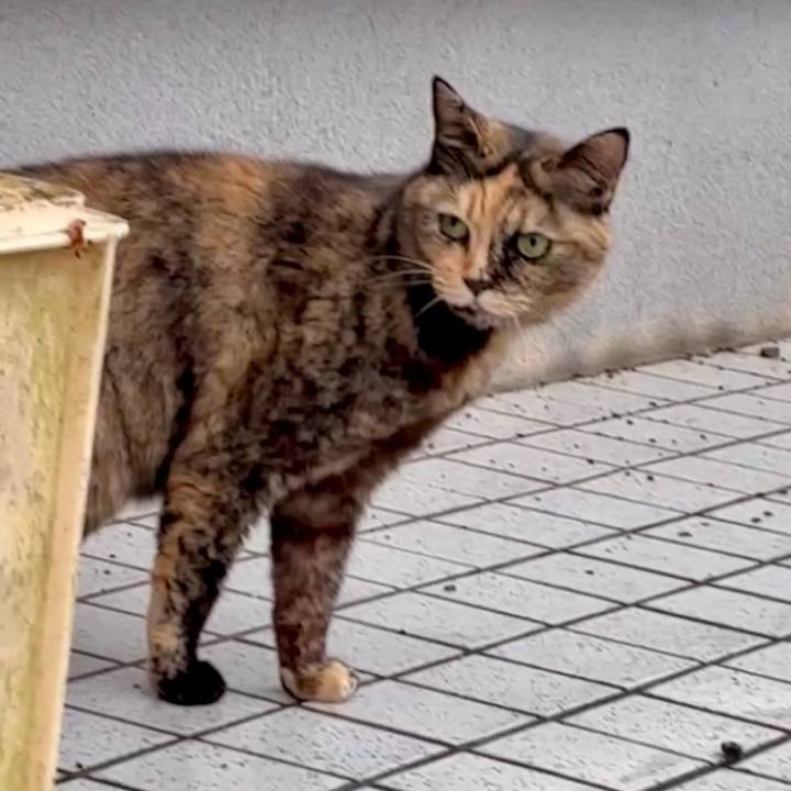 744a307e bd7f 4dfa a571 c466bbbb7ac6 1766579539252