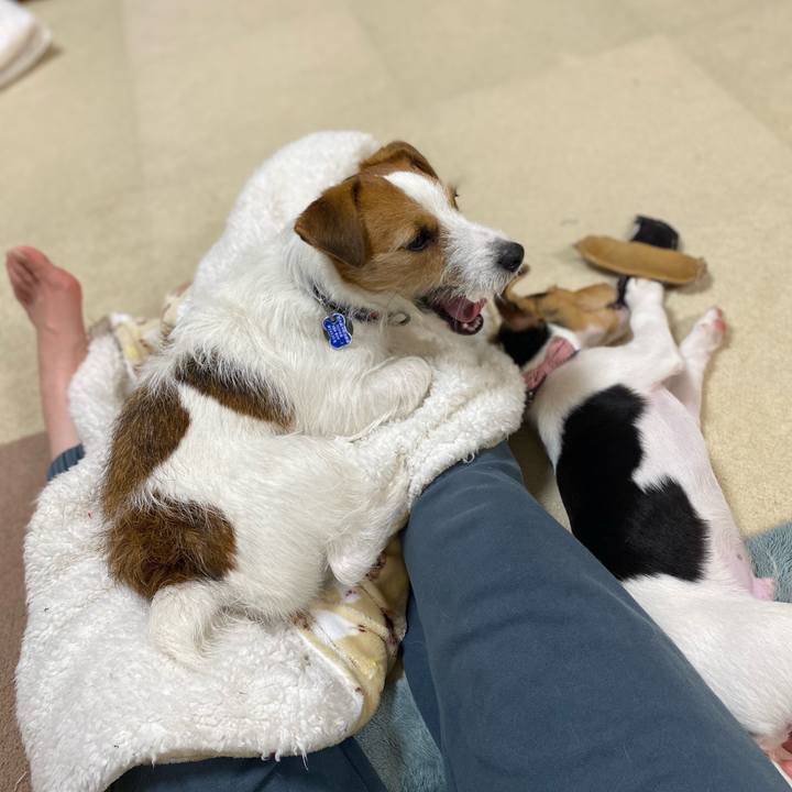 744a4177 9dea 4f3e a328 b9e022a5882e 1745333207717