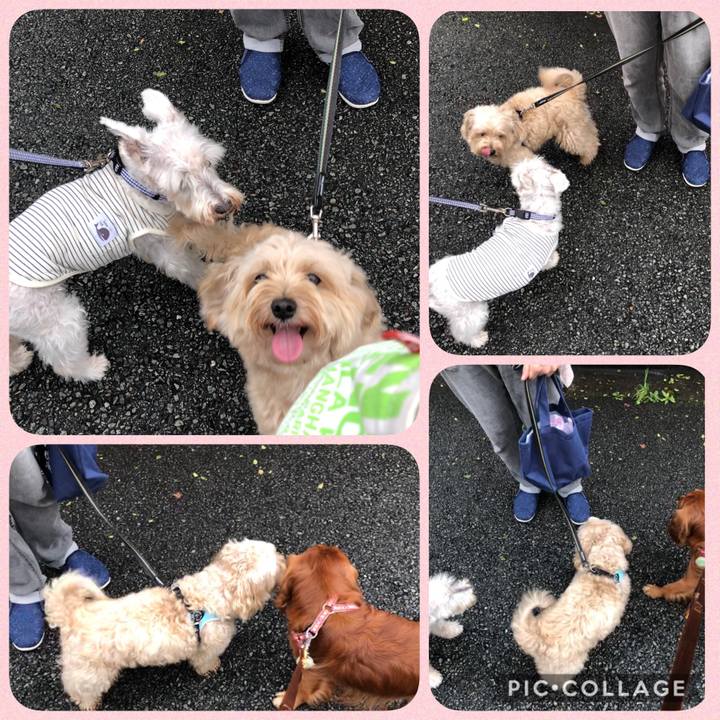 744a6235 26e6 4321 8fbb c35e8e03f7f3 1599954327543