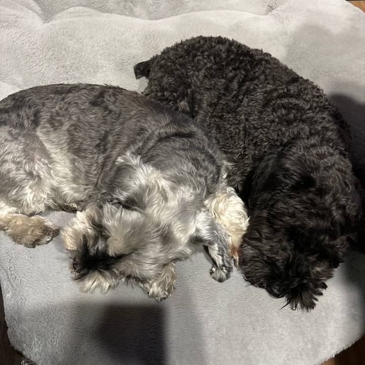 744aa849 2227 48db 8fe9 24360cc791d4 1699950386577