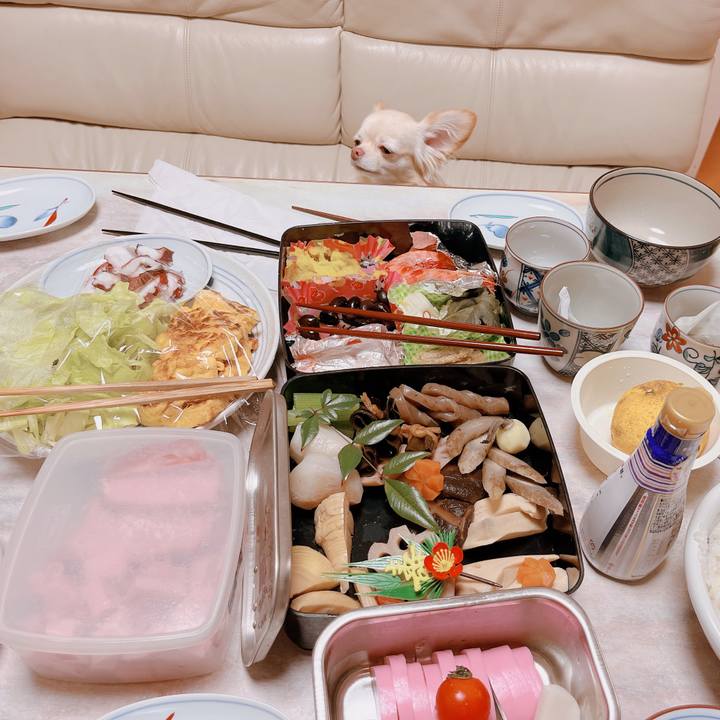 744ad336 e105 42a2 adde 01924ea09731 1673234736310