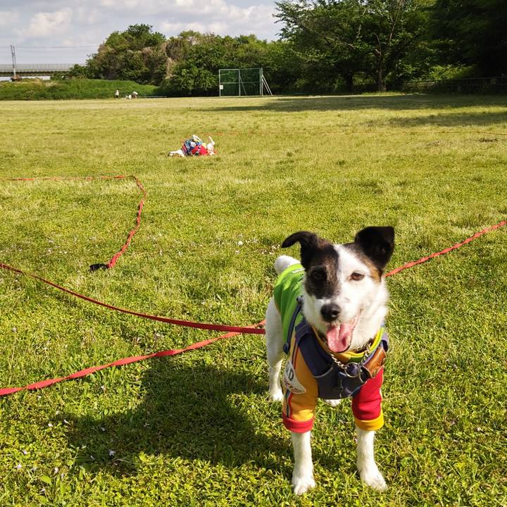 744b01f4 a9ce 4c9c 8d67 09597ea0e1cf 1746429855399