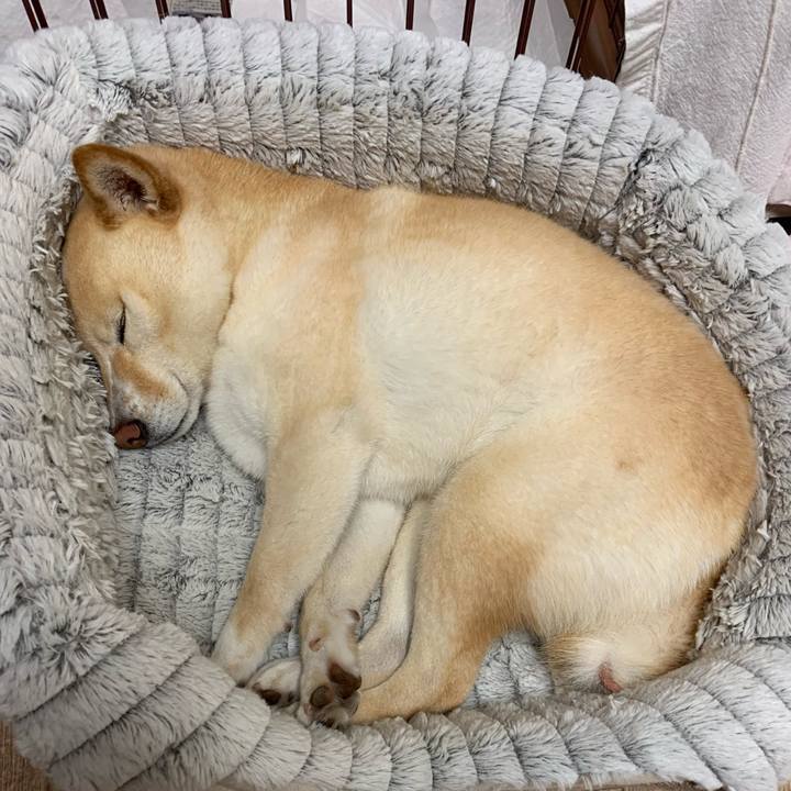 744b14a3 13fc 45ec b5e5 c2e63aa69d14 1656161086187