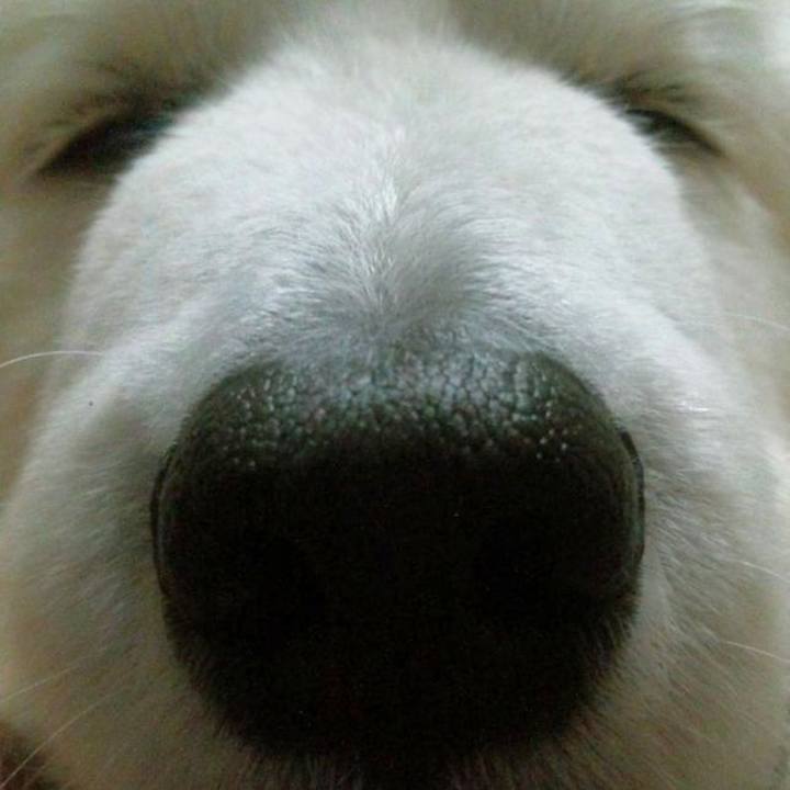 744b4646 e91b 4eb5 8c6b 2d1833f8c7e7 1678776243190