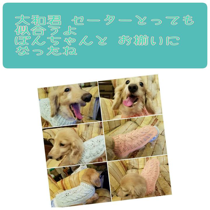 744b4db9 66ed 4973 8085 948d82a8f136 1527513667317