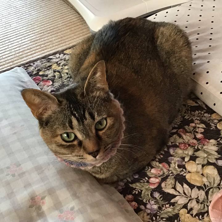 744b6c69 4d3b 498e 9eff e95a057bbec9 1621906543521