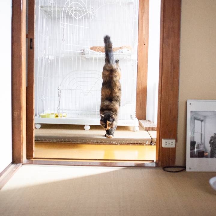 744b732e 81da 4729 a1c7 34d6a169d69c 1575444620778