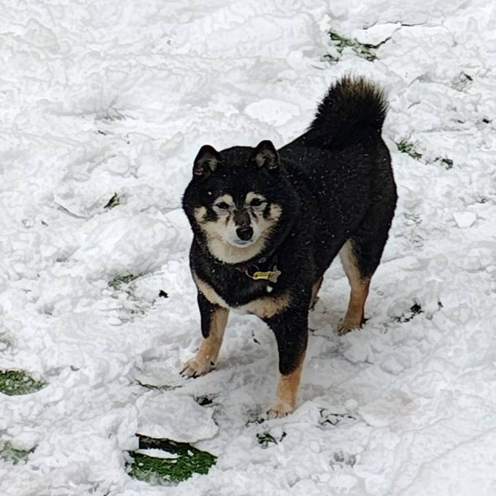 744bc3a8 e91f 41e2 bb04 108ac50d8d57 1770517032450