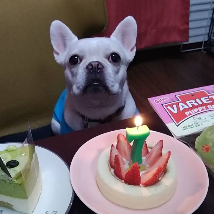 744bd535 79c9 43f5 b81b bf1a7c93a1de 1583838133588