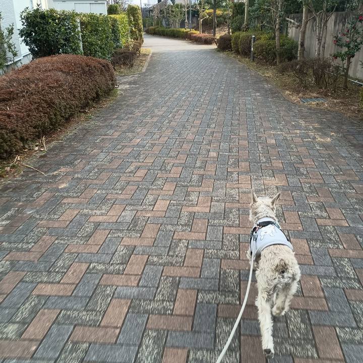 744c3fa1 9006 44e5 ba75 8ba72469e893 1773059237356