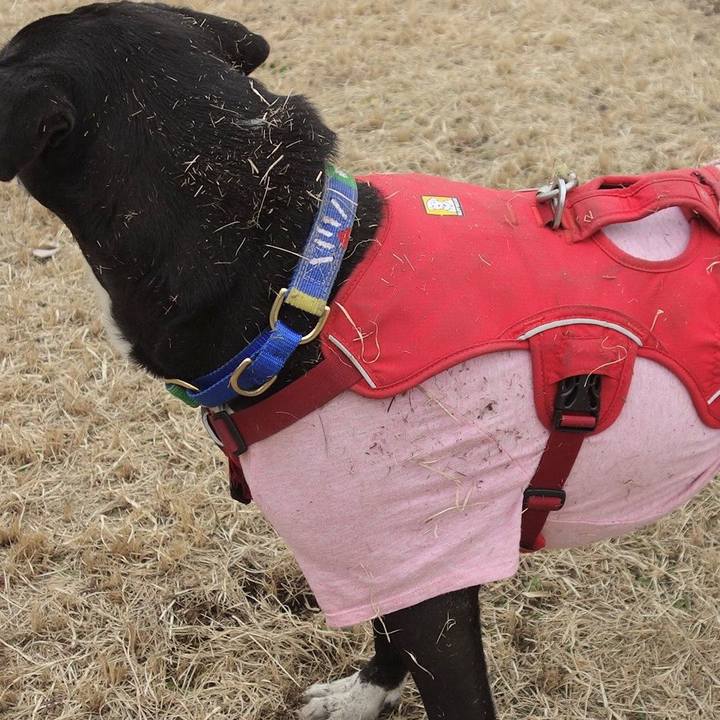 744c8a2f 7c02 4b24 a8e3 5f049c357a53 1674435688119