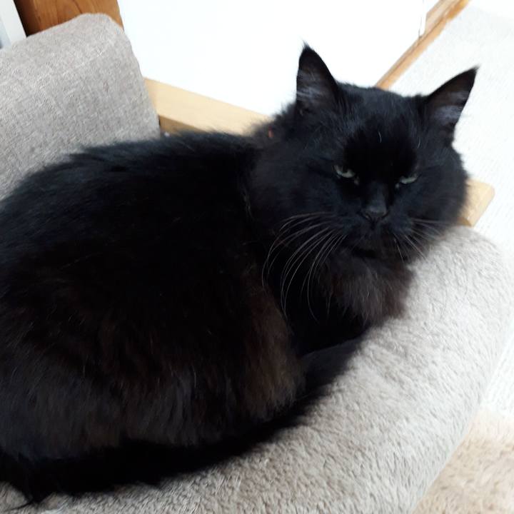 744cac1c cb81 4e74 812f 7f3e81542694 1520709854503