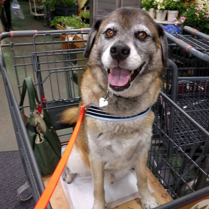 744ce41a 24c9 4e5d a172 a6c518b8c3bf 1719794360691