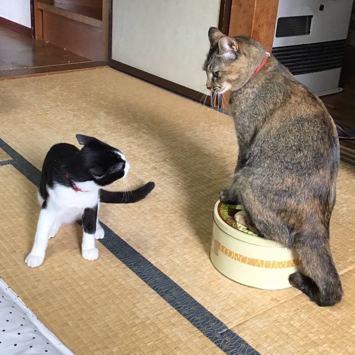 744ceabd 1671 4497 8672 e8eced0ef0bf 1629684178681