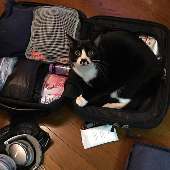 744d0729 08ca 48f2 a789 19b5d59a4ff1 1510822867331