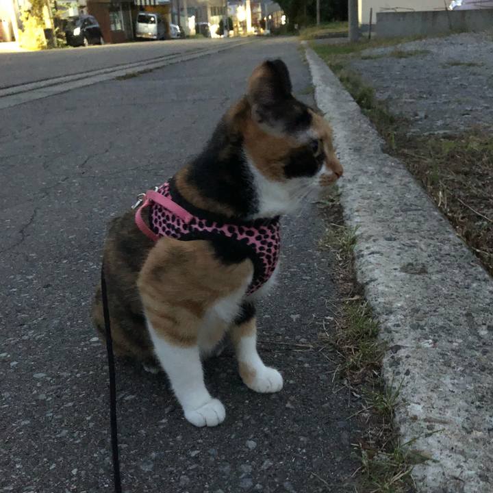 744d2064 7772 4319 91a7 5df990b65e16 1537960431696