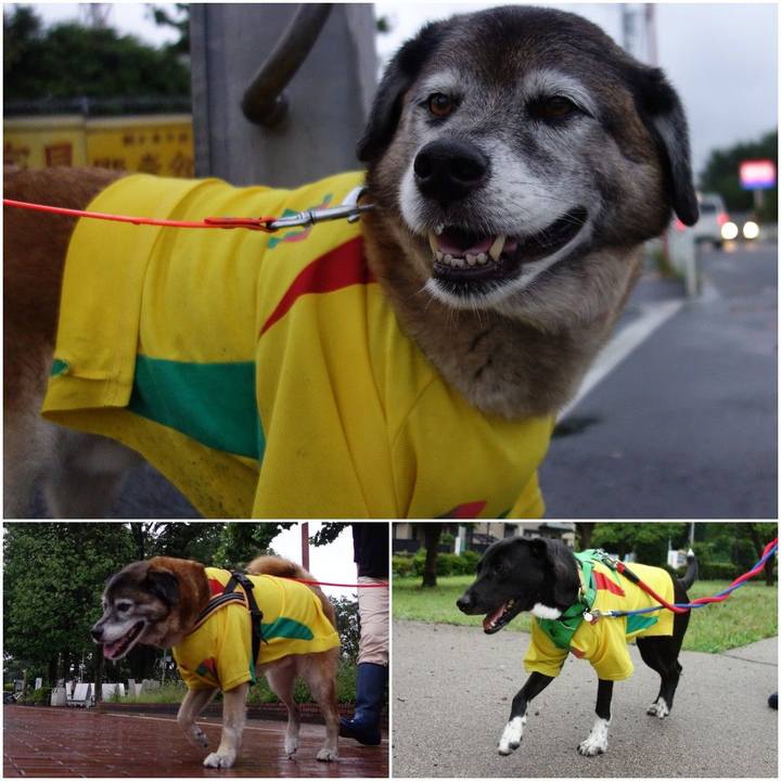 744d264d 5e48 4193 8426 13cc46666d29 1592092611786