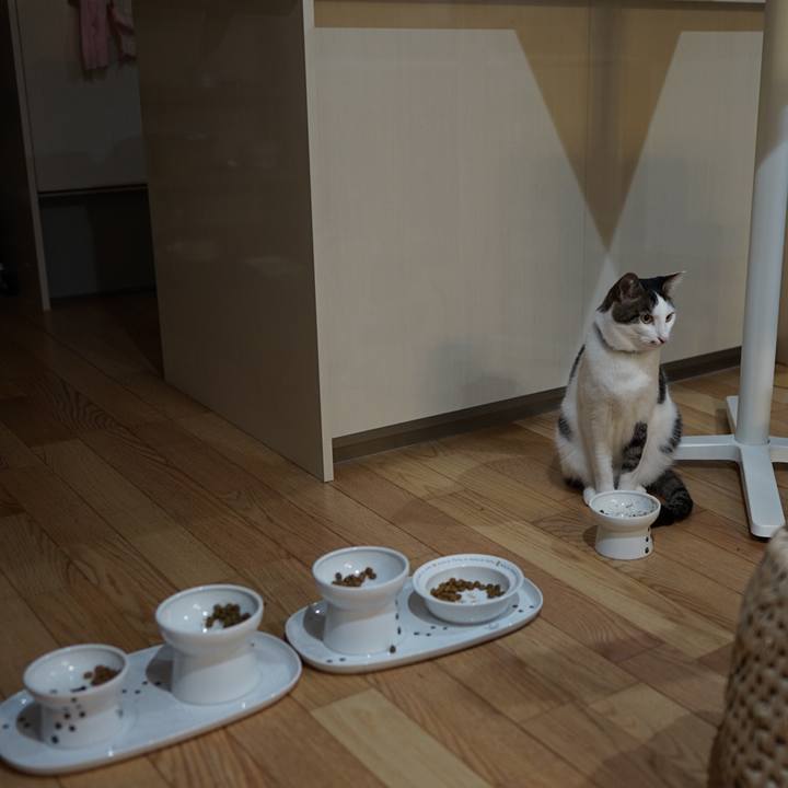 744d5e7b b105 4375 acff cd4a3a83fd96 1559604237918