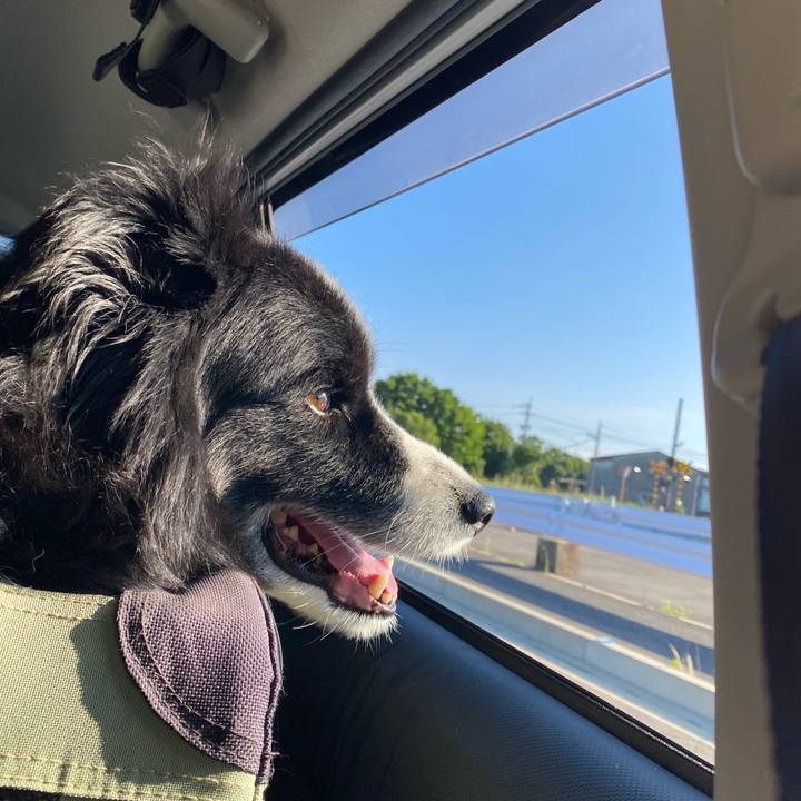 744d7204 8746 47cc b6ef 5858c0a51cfa 1656540466747