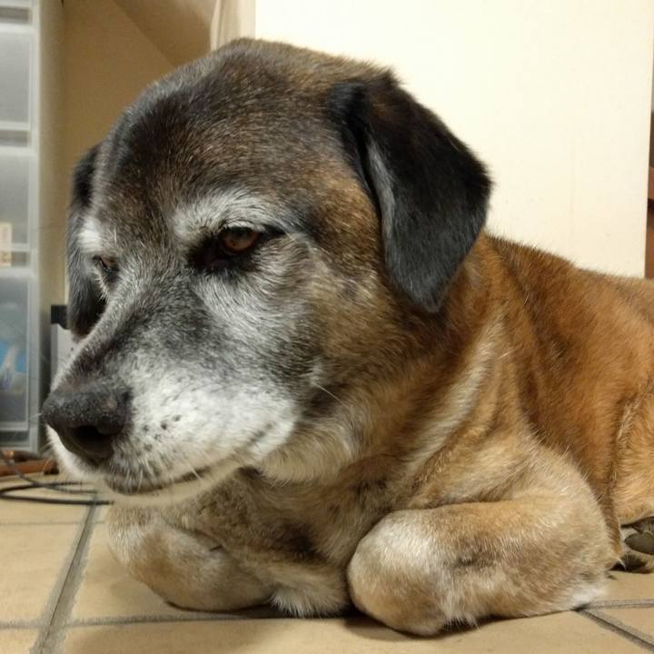 744d7fac 9e61 440b a2bf b6e0005b3f14 1522887204506