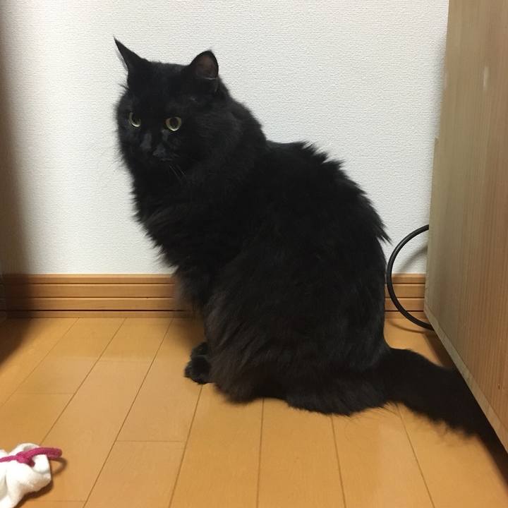 744d8a8b 8640 4acb ae4c 7c7ef34c977a 1572708162350