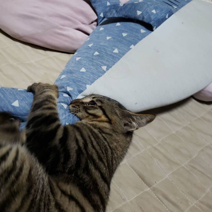 744d9543 1fb6 48f1 9240 87a63b19b907 1543740886539