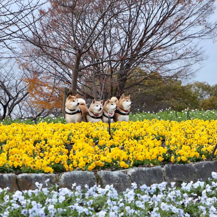 744dbc7d 2174 47e6 b5d6 7d20aa34a605 1608652811306