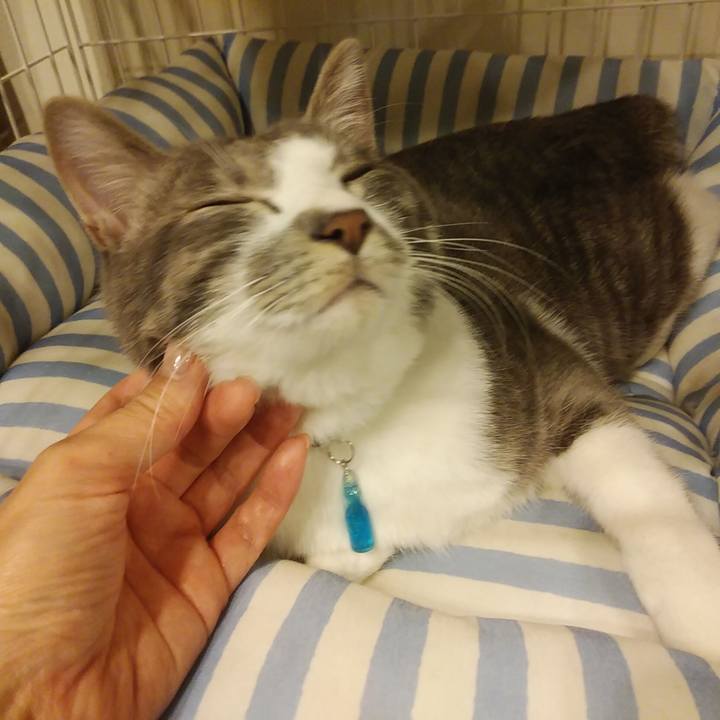 744dfcd1 5a70 4838 90b5 06b12fd14bc5 1587162105635