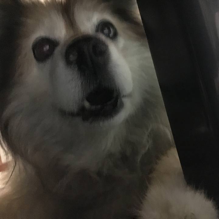 744dfcf8 0da4 4ad9 96b1 a3d31f5109fd 1595493324837