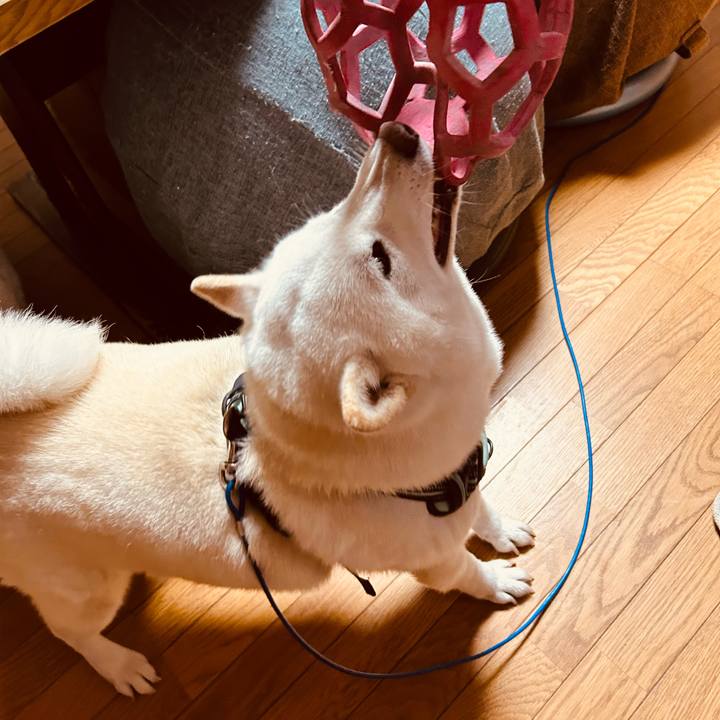 744e0745 89eb 4a20 bdc6 403706d33d8d 1697804026948