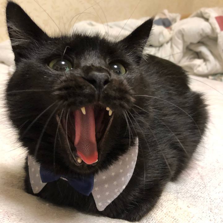 744e6a2b 32a1 46f5 a3f6 9f74c78f0123 1572780539998