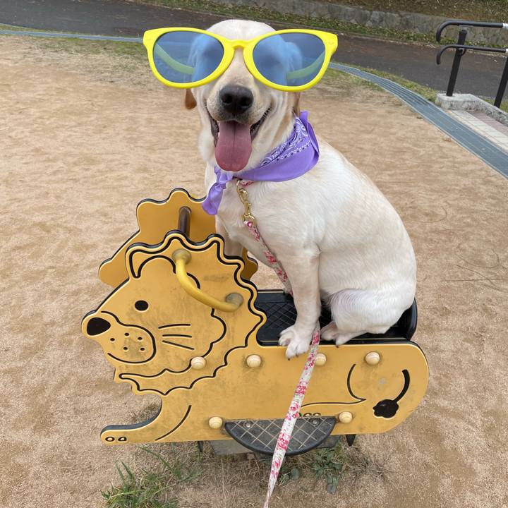 744e935e c6da 4872 b557 0f6da8b1f2c3 1641714689165