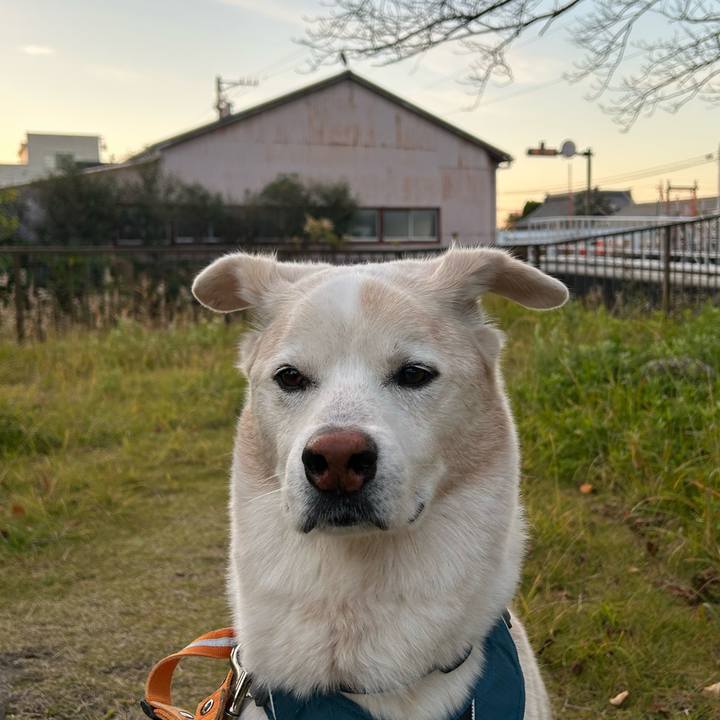 744e96eb 998b 4229 967c ec4529546a98 1733368944782