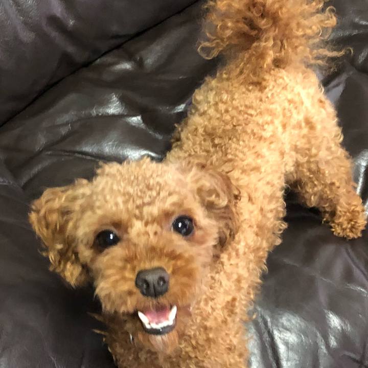 744ec0bf dbe3 44e9 842d 17ef5d936d3b 1530422250252