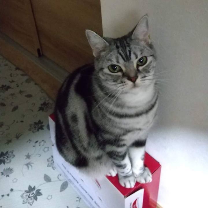 744ed4e5 b904 40ae 82bd 62344080d772 1667791748512