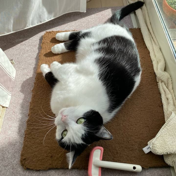 744ed627 19f7 42b2 9d83 4bd3537a13ea 1768694054710