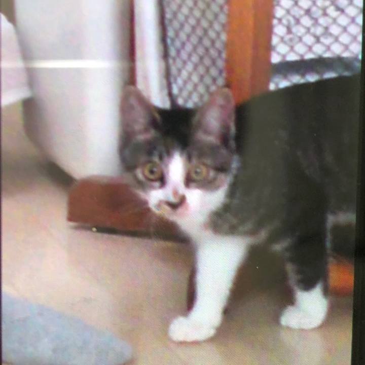 744ef566 b109 4501 b449 9fc0bec432ed 1534207540633